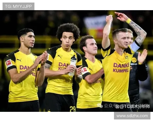 霍芬海姆对阵多特蒙德精彩对决直播，全程不容错过！